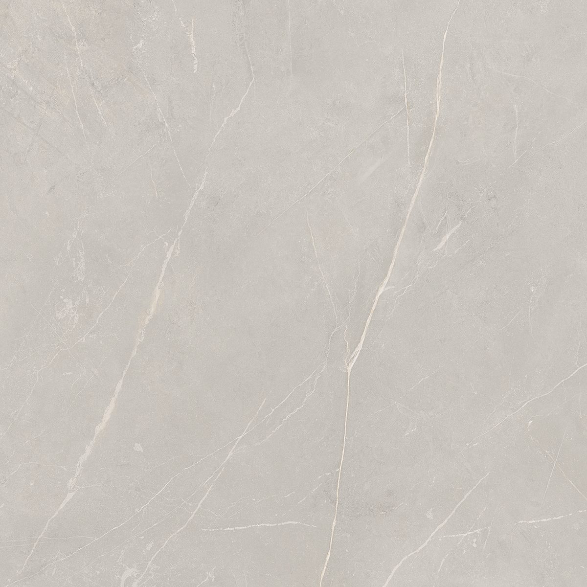 NL02 Nolana Light Grey 800x800 неполированный серый