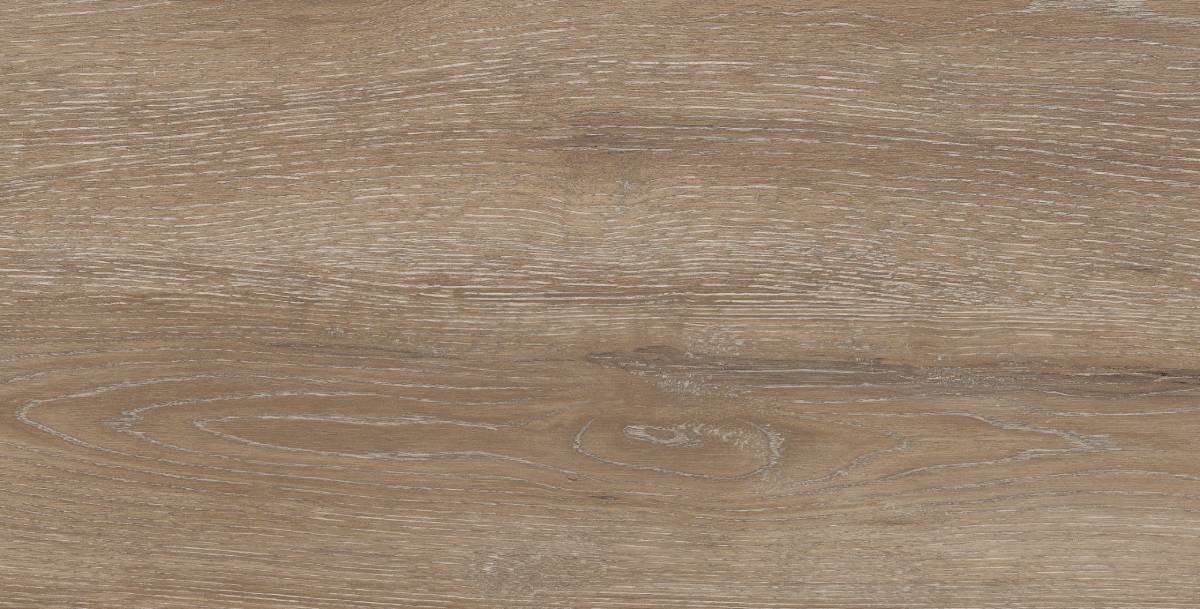 DW02 Dream Wood Latte 306x609 неполированный коричневый