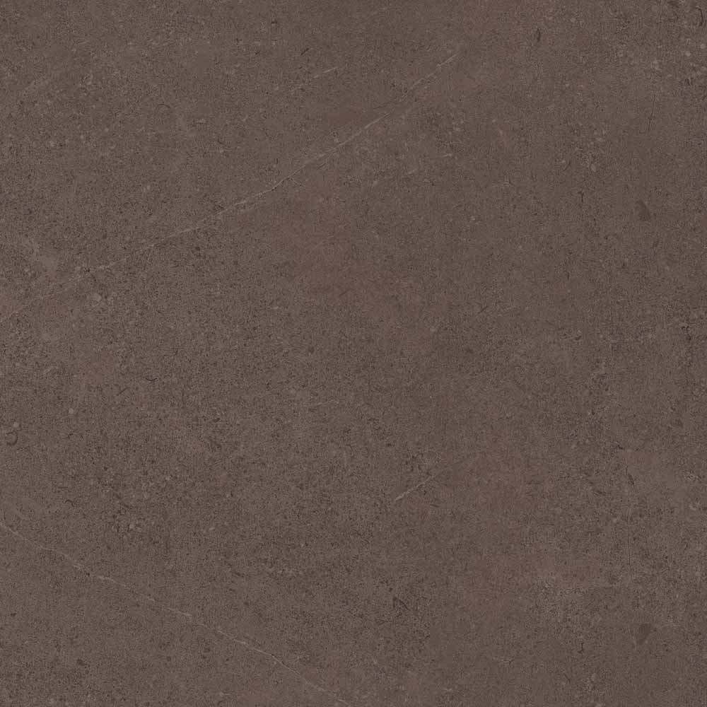 GO03 Gobi Brown Grey 600x600 неполированный коричневый